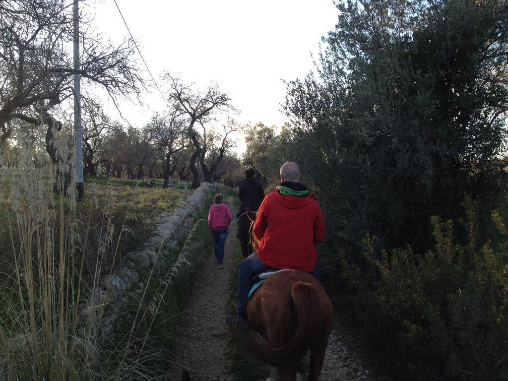 Agriturismo Vita e Natura Noto Exterior foto