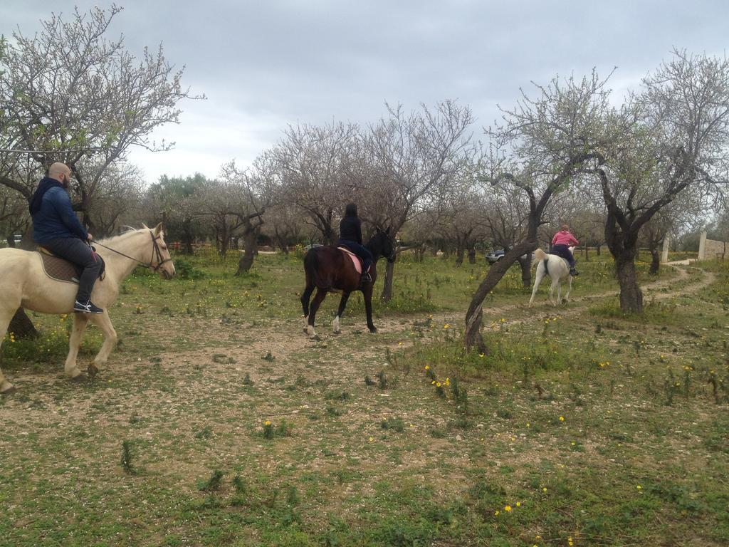 Agriturismo Vita e Natura Noto Exterior foto